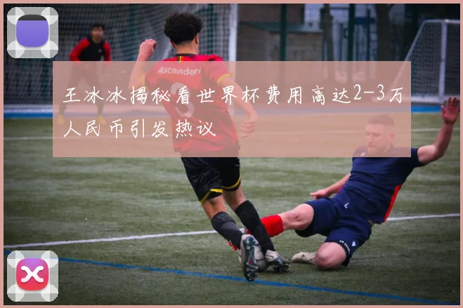 王冰冰揭秘看世界杯费用高达2-3万人民币引发热议