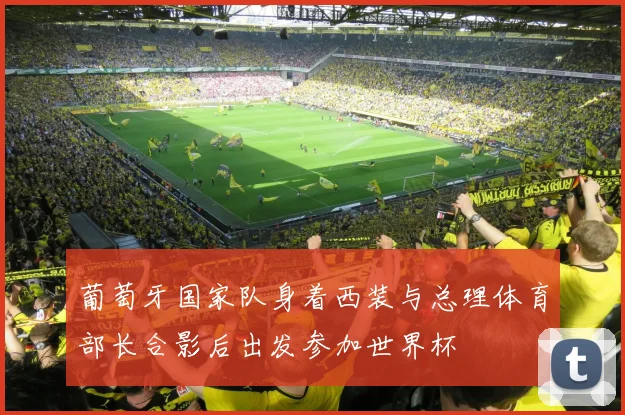 葡萄牙国家队身着西装与总理体育部长合影后出发参加世界杯